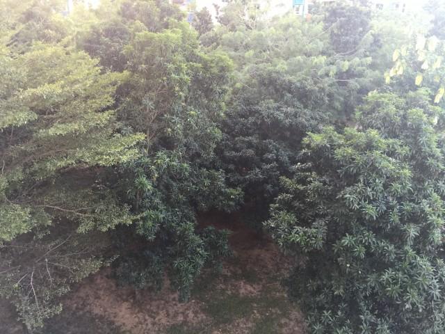 Blk 409A Fernvale Road (Sengkang), HDB 4 Rooms #121509732